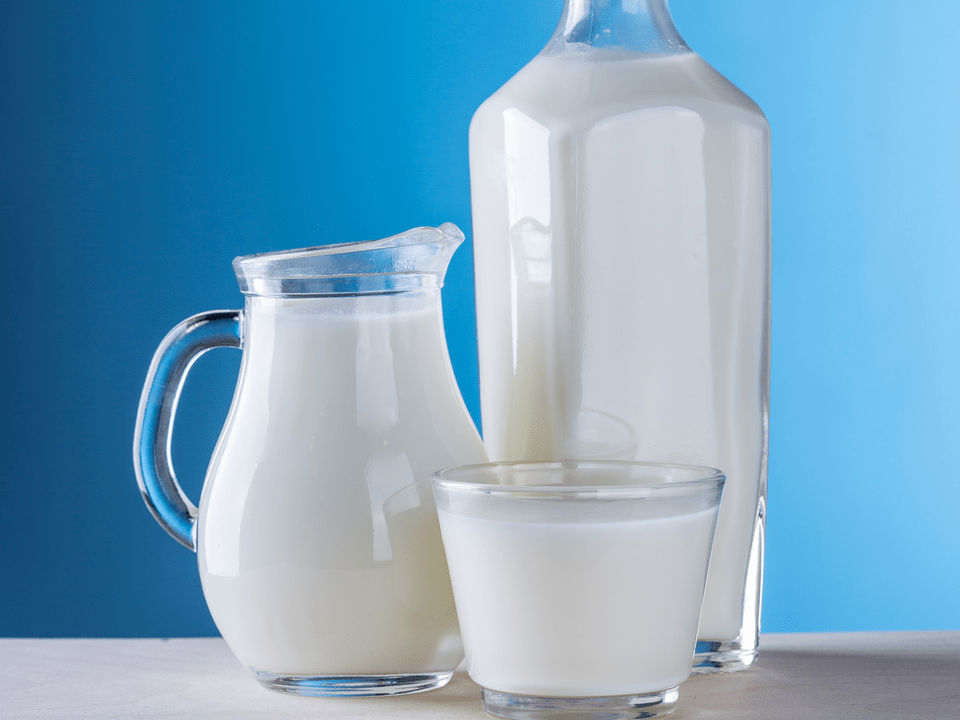 pieno produktai yra kefyro dietos pagrindas
